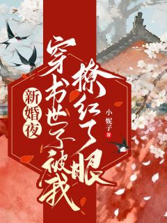 新婚夜，穿书世子被我撩红了眼免费阅读全文，主角风清韵云离歌小说完整版