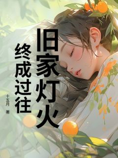 （好书推荐）旧家灯火，终成过往小说最新章节小说全文阅读