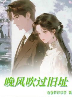晚风吹过故址许南星秦叙深小说完整在线阅读