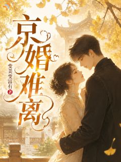 精品小说京婚难离全文目录畅读