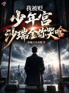 孙连成沙瑞金小说我被贬少年宫,沙瑞金你哭啥?全文阅读