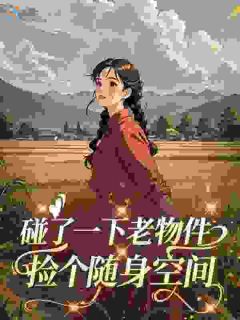 苏夜沈婉清(原文完整)碰了一下老物件，捡个随身空间无弹窗免费阅读
