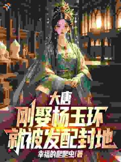 抖音小说李瑁李隆基李瑁李隆基无弹窗试读