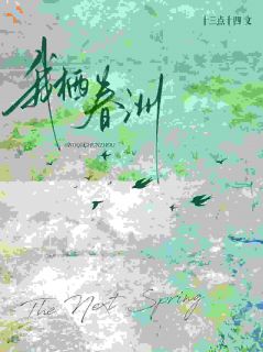 黎真沈今洲小说我栖春洲全文阅读