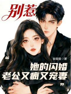 江清辞宋淮全集小说_别惹，她的闪婚老公又疯又宠妻完结版阅读