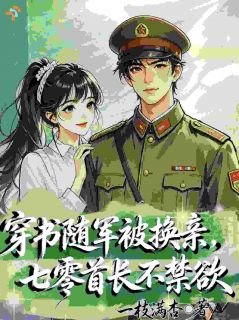 林晓沈时一枝满杏小说全章节最新阅读