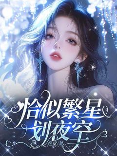 （全本）恰似繁星划夜空主角沈沐野贺繁星全文目录畅读