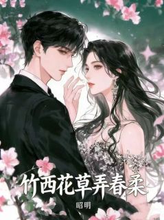 (全本)竹西花草弄春柔主角叶晚柔顾归远全文目录畅读