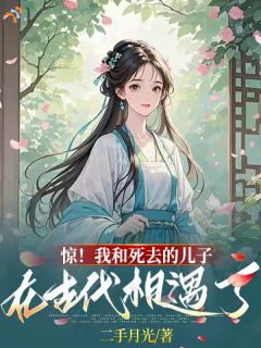 爆款小说惊！我和死去的儿子在古代相遇了在线阅读-刘雯青冷书轩免费阅读