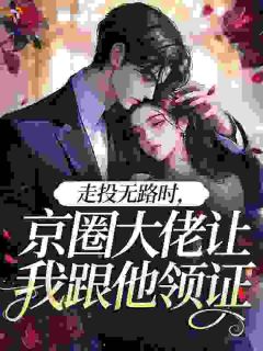 离婚当天，京圈太子爷拽我去领证沈晚陆时衍全章节目录免费阅读