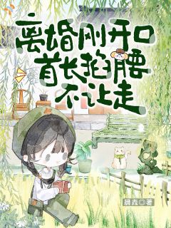 乔念霍岐安晨垚小说全章节最新阅读