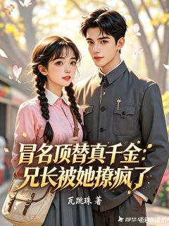 南枝徐清风全本章节在线阅读大结局