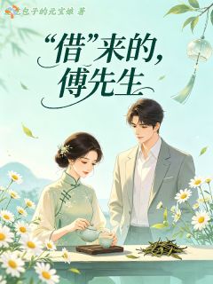 苏念傅司珩借来的,傅先生全章节免费阅读