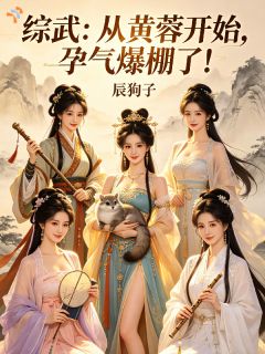 综武：从黄蓉开始，孕气爆棚了！是什么小说叶星辰黄蓉全本免费阅读