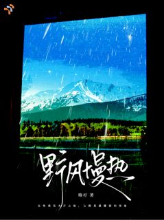野风慢热免费阅读全文,主角陈迟周西泠小说