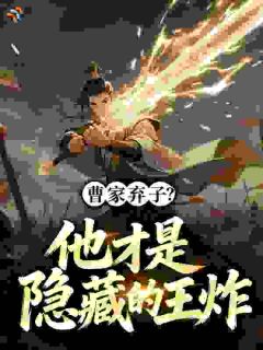 曹家弃子？他才是隐藏的王炸小说(完结版)-曹茂曹操在线阅读