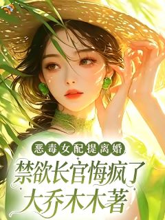 恶毒女配提离婚,禁欲长官悔疯了宋念安陆沉舟-小说txt全文阅读