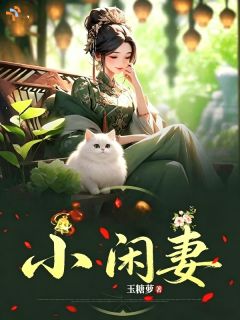 小闲妻是什么小说岑如溪赵曜全本免费阅读