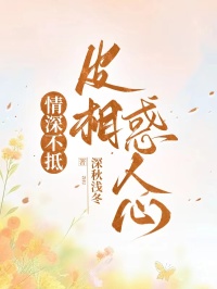【新书】情深不抵，皮相惑人心主角唐语安苏洵止全文全章节小说阅读