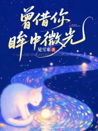 苏晚棠陆承屿曾借你眸中微光全文(苏晚棠陆承屿)章节免费阅读