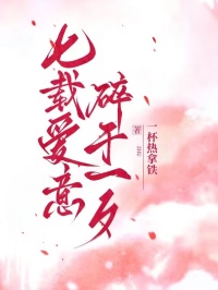 老书虫书荒推荐七载爱意,碎于一夕txt小说阅读