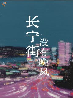 沈墨宁陆砚舟小说全文免费阅读长宁街没有晚风全文免费阅读