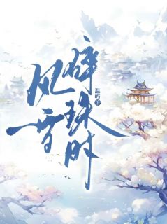 风雪碎珠时无广告阅读 李玄晚晚明儿免费在线阅读