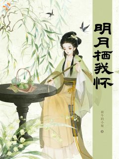 明月栖我怀小说全集(袁明月江临)无弹窗广告阅读
