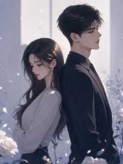 雨停后，不再爱你乔瑜陆怀瑾-小说txt全文阅读