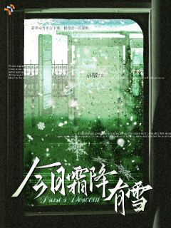 爆款热文方若霜沈镜清在线阅读-今日霜降有雪全章节列表
