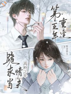 第五年重逢，高岭之花跪求当情夫知乎后续免费试读