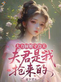 李岚雪沈林渡小说哪里可以看 小说大力厨娘守边关，夫君是我抢来的全文免费阅读