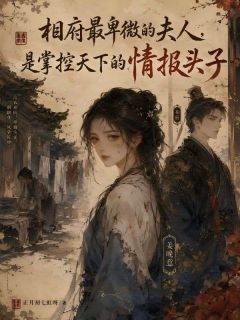 抖音爆款小说相府最卑微的夫人，是掌控天下的情报头子顾修衍林舒苒免费txt全文阅读