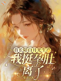 我难产濒死，他全程陪伴别的产妇在线阅读 陈穗骆青岩免费小说精彩章节