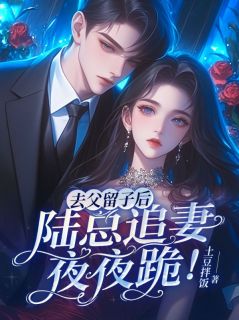热门推荐去父留子后,陆总追妻夜夜跪!by土豆拌饭小说正版在线