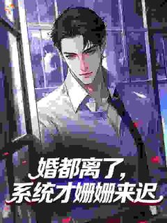 赵新年秦朝露小说婚都离了，系统才姗姗来迟免费阅读