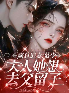 霸总追妻：慕少，夫人她想去父留子小说百度云完整章节列表免费阅读