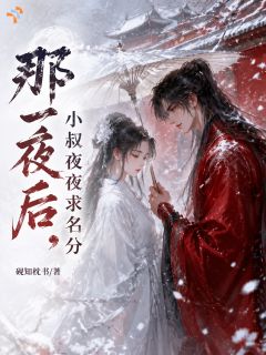 爆款小说那夜之后,小叔夜夜求名分在线阅读-沈清霜陆铮免费阅读-暗夜阅读网