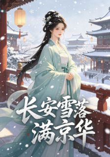 热门小说长安雪落满京华完整版全文阅读