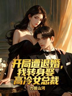 抖音爆款小说开局遭退婚，我转身娶高冷女总裁苏辰周守信免费txt全文阅读