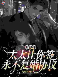 (好书推荐)谢律师,太太让你签永不复婚协议小说最新章节小说全文阅读