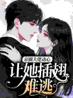 主角安以舒沈砚京小说完整版-京圈大佬动心,让她插翅难逃免费阅读全文