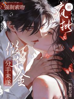 书荒必备桑南溪谢海宴小说