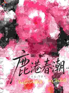 沈鹿溪贺璟年小说抖音热文鹿港春潮完结版