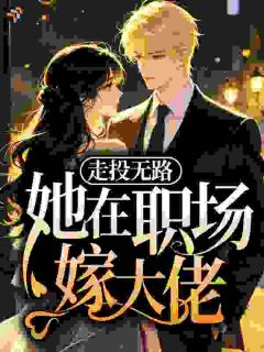 走投无路,她在职场嫁大佬小说全集(林念陆政屿)无弹窗广告阅读-暗夜阅读网