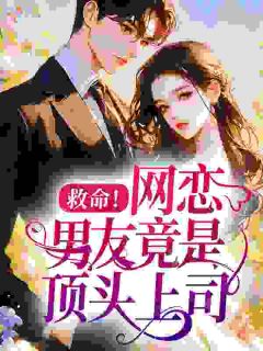 书荒必备江稚沈闻敛小说