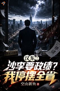 李达康沙瑞金汉东：沙李要政绩？我停摆全省小说完整版
