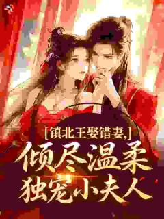 快手热文镇北王娶错妻,倾尽温柔独宠小夫人沈清婉萧凛小说推荐