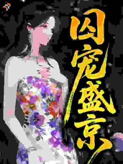 主角是宋柠昭沈疏砚的小说叫什么囚宠盛京免费全文阅读