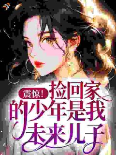 精品小说震惊！捡回家的少年是我未来儿子？全文目录畅读